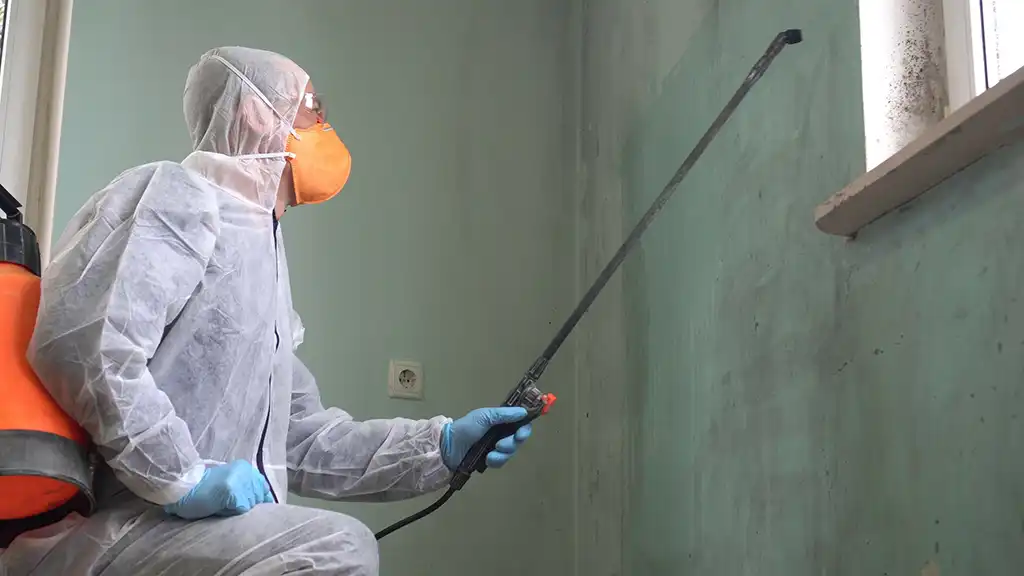 Antimikrobielle Schimmelpilzbekämpfung Antimikrobielle Schimmelpilzbekämpfung
