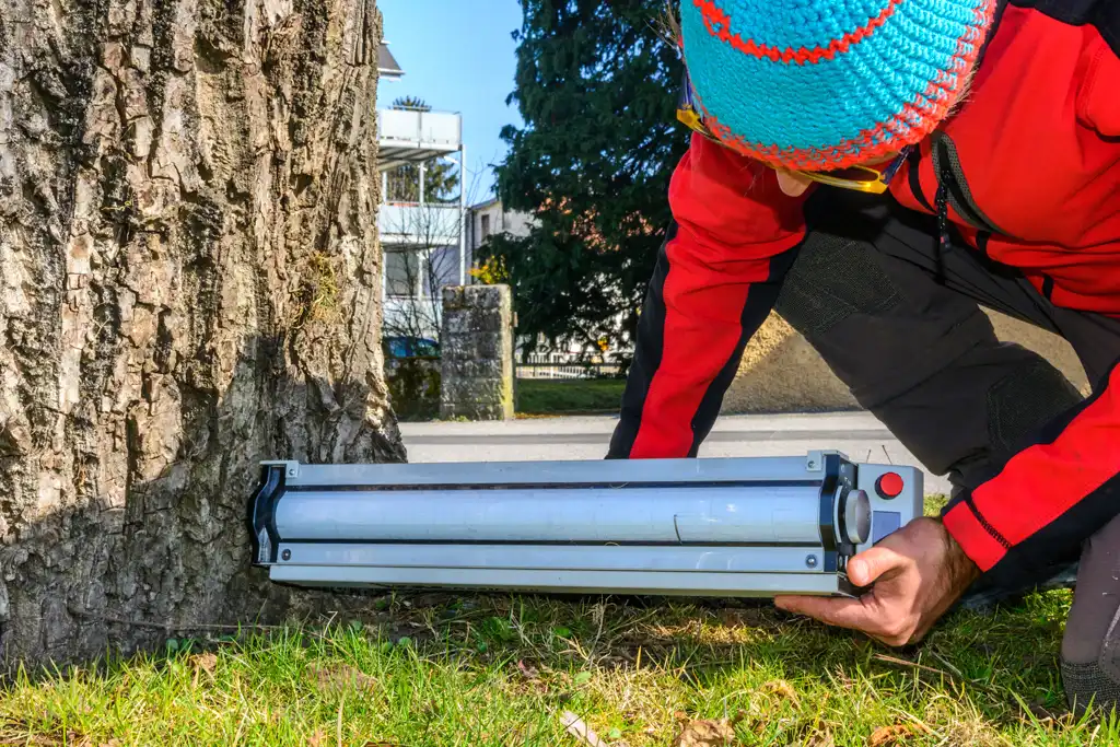Resistograph während einer Bohrwiderstandsmessung Resistograph während einer Bohrwiderstandsmessung